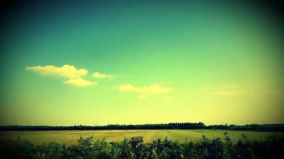 taosidency thumbnail